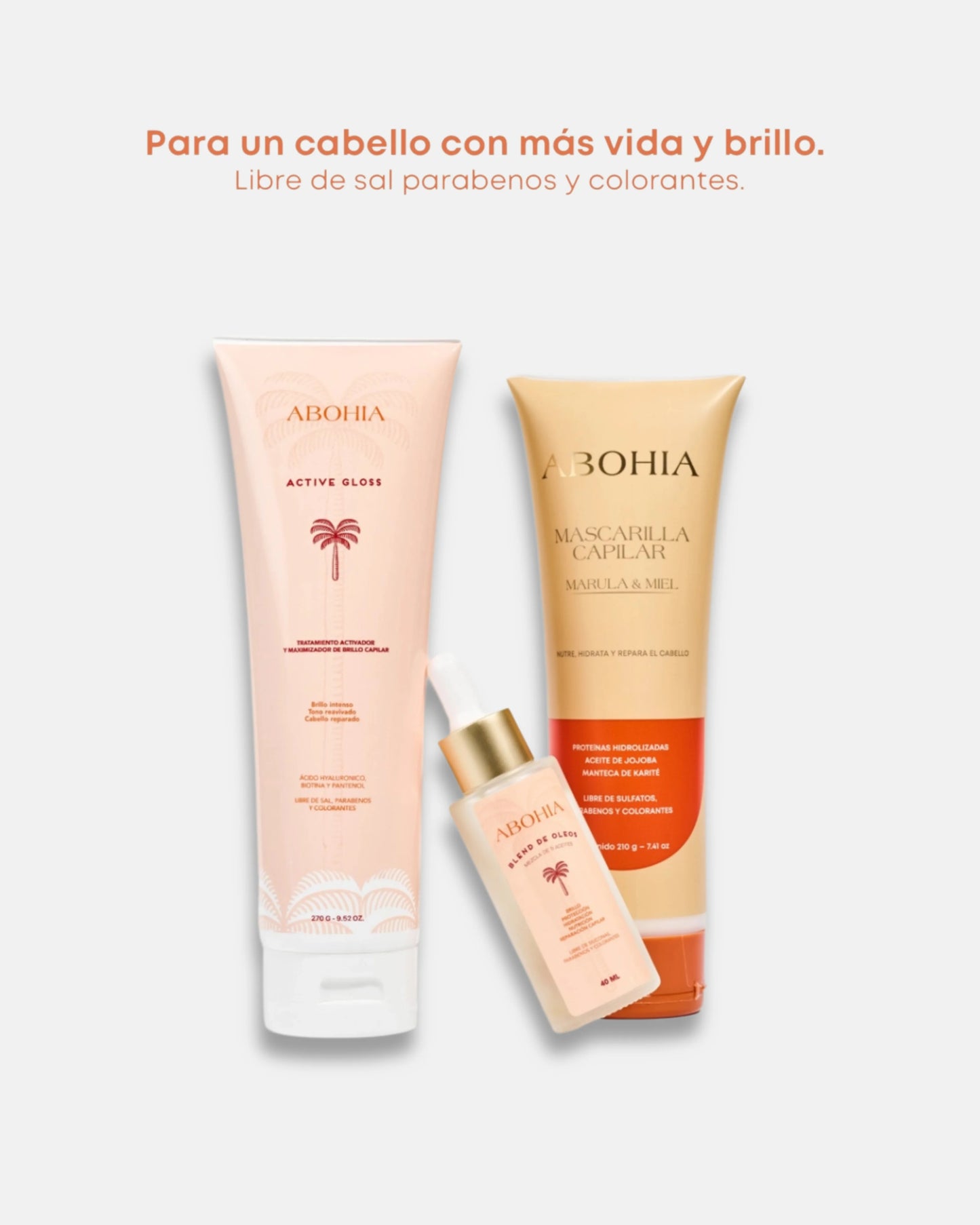 Kit Brillo Y Reparación- Reestructuración